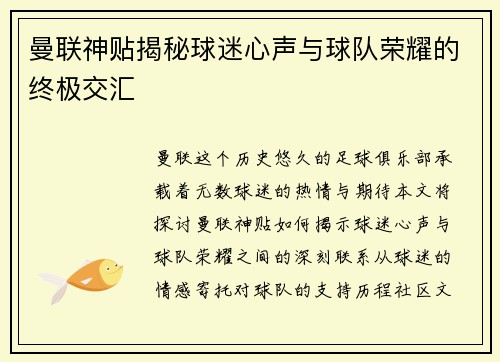 曼联神贴揭秘球迷心声与球队荣耀的终极交汇